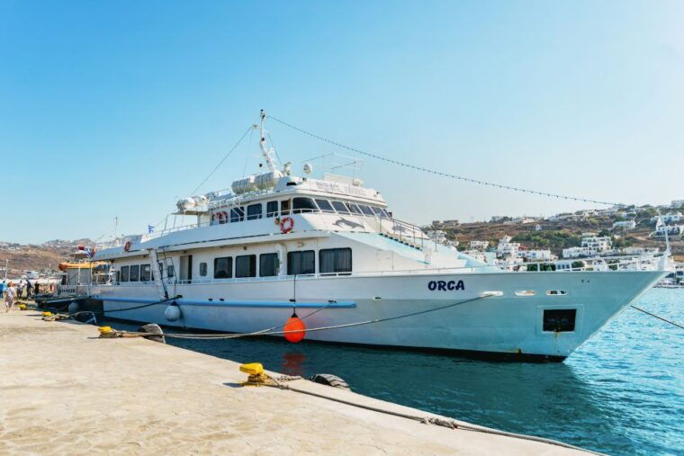 mykonos-town-archaeological-site-of-delos-guided-day-trip