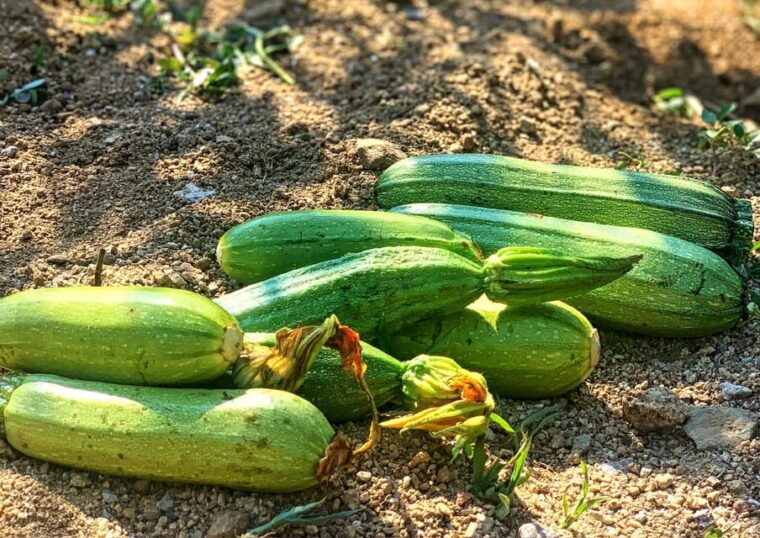 mykonos-traditional-cooking-class-with-the-locals