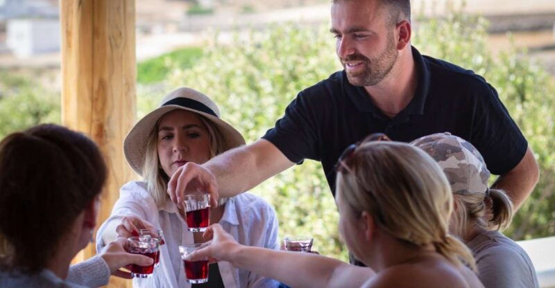 mykonos-winery-vineyard-experience-with-food-wine-tasting