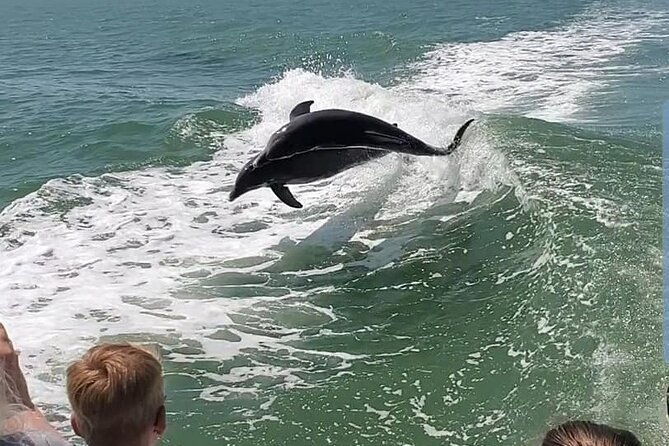 myrtle-beach-dolphin-cruise