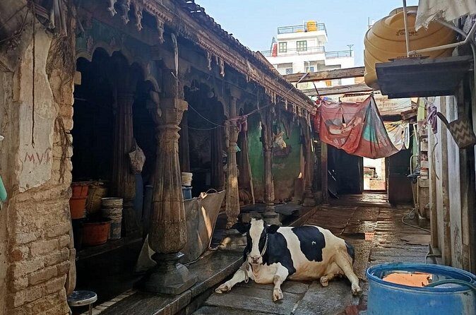 Mysore By Cycle Cultural and Heritage Bike Tour - Final Words