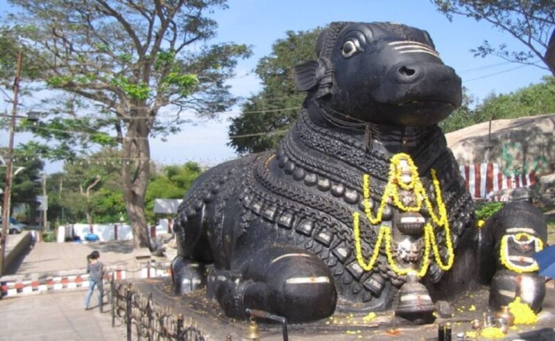 Mysore: Private Full-Day Sightseeing Tour of the City - An In-Depth Look at the Mysore Private Full-Day Tour  