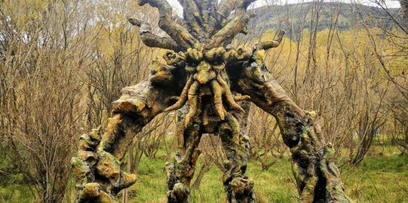 mystic-cusco-huasao-valley-of-the-goblins-morada