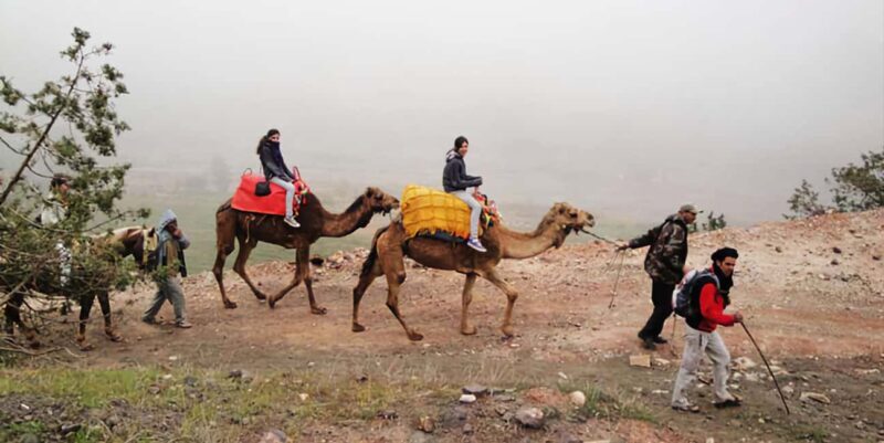 Mystic dinner and camel ride with sunset in Agafay desert - FAQ