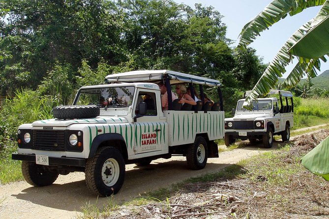 mystic-island-safari