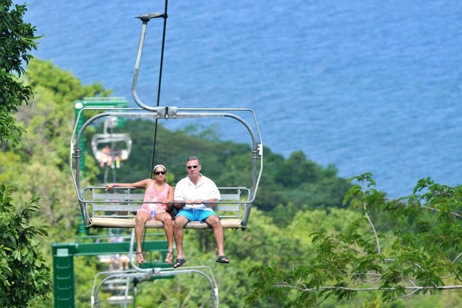 mystic-mountain-canopy-experience-from-montego-bay