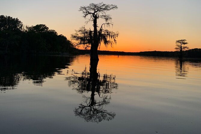 mystical-private-kayak-and-canoe-tours-on-caddo-lake