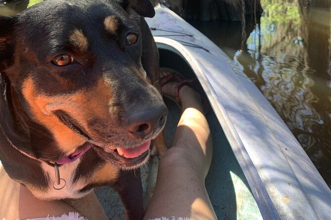 mystical-private-kayak-and-canoe-tours-on-caddo-lake