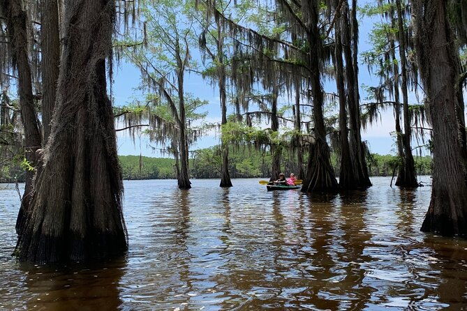 mystical-private-kayak-and-canoe-tours-on-caddo-lake