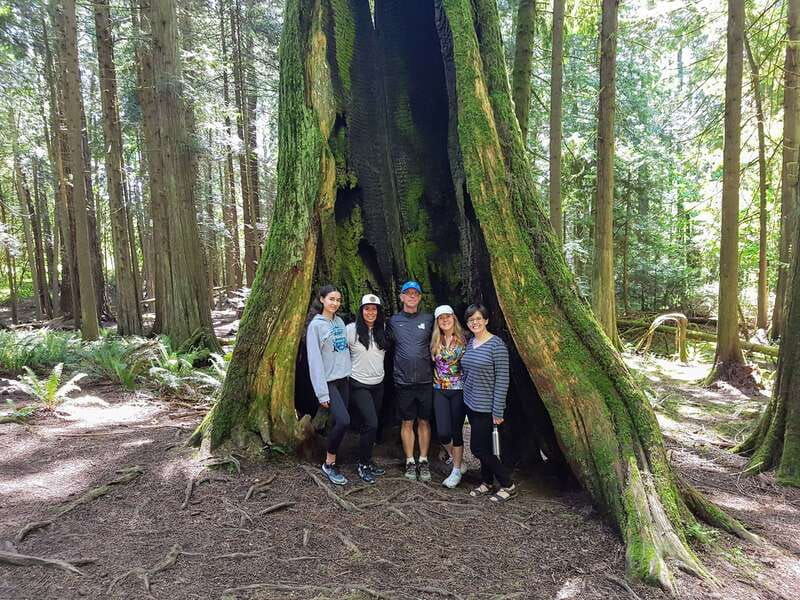 mystical-rainforest-tour-forest-magick