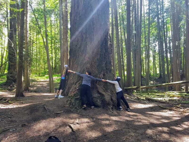 mystical-rainforest-tour-forest-magick