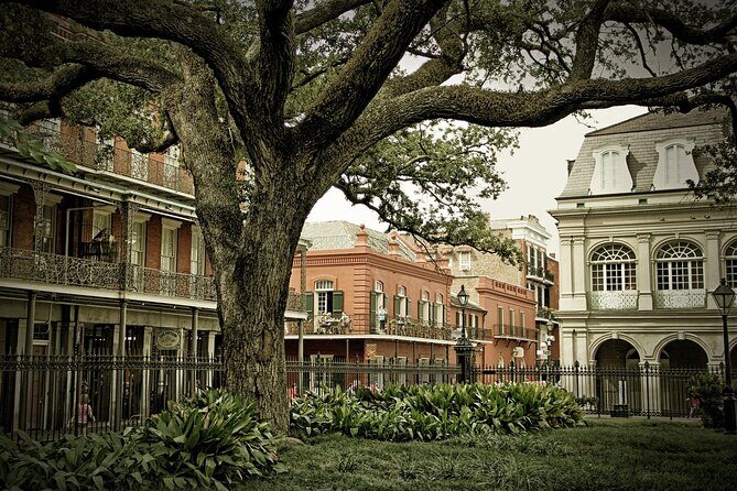 Mystique of the Lower French Quarter - A Closer Look at the Tour: What to Expect