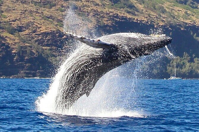 N Pali Coast Zodiac Raft Expedition and Snorkeling on Kauai - Considerations and Safety Tips