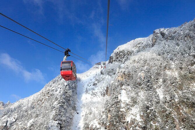 Nabana no Sato, Gozaisho Frozen Tree and Outlet Tour from Osaka - Discover the Winter Charm of Japan: Nabana no Sato, Gozaisho Frozen Tree, and Outlet Tour from Osaka