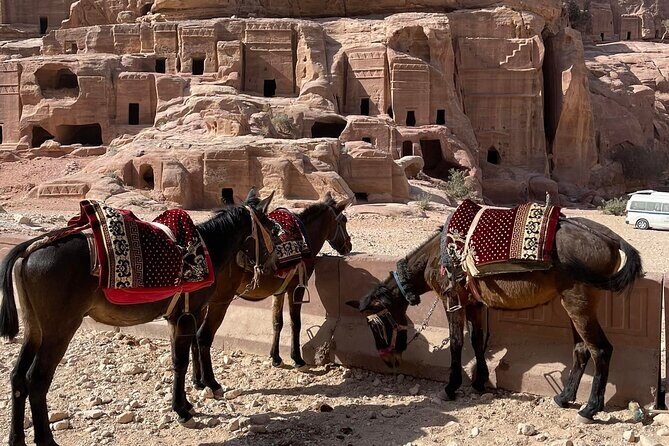 Nabatean Nights Stay in Petra Jordan - Bedouin Village with Tour - Exploring the Itinerary in Detail