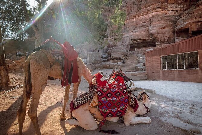 Nabatean Nights Stay in Petra Jordan - Bedouin Village with Tour - FAQ