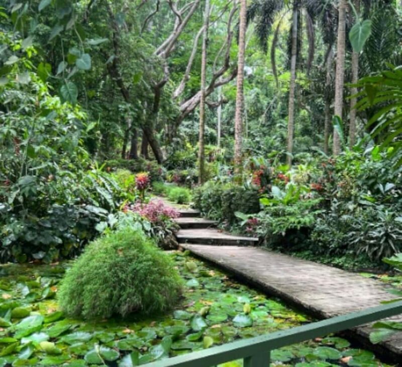 Nadi: Culture, Temples, Markets & Garden Adventure - Final Thoughts