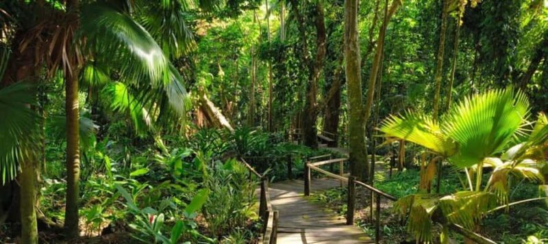 NADI: Exquisite Orchid Garden Tour with Hotspring & Mudpool - Practical Details and Tips for Your Tour