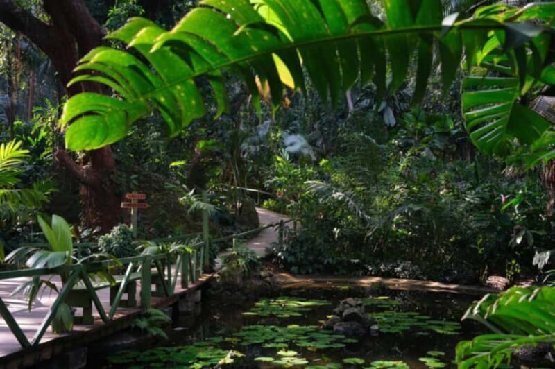 NADI: Exquisite Orchid Garden Tour with Hotspring & Mudpool - Who Should Consider This Tour?