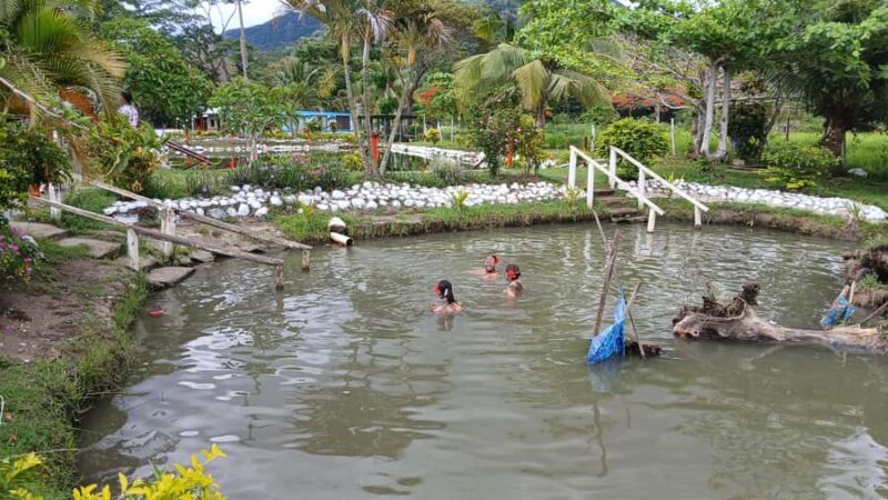 NADI: Fijian Heritage Village Tour & Hotspring and Mudpool - Price and Value