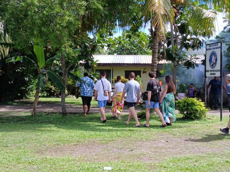 Nadi: Fijian Village Tour with Tifajek Mudpool and Hotspring - Transport and Group Size