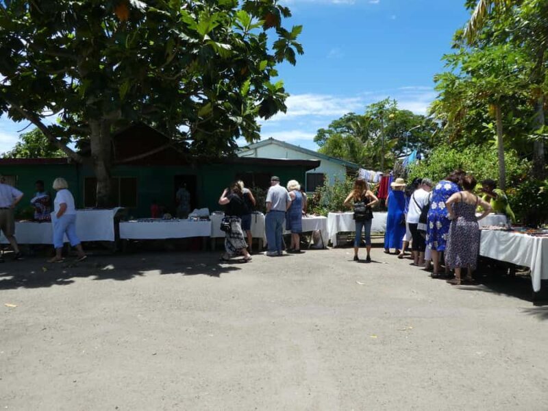 NADI: Fijian Village with Sabeto Hotspring Mudpool Tour - Who Will Love This Tour?