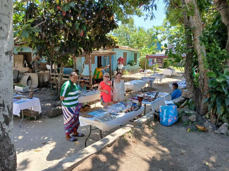 NADI: Fijian Village with Sabeto Hotspring Mudpool Tour - The Sum Up