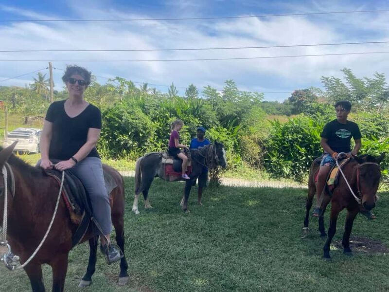 NADI: Nalesutale Village Full Day Tour - Key Points