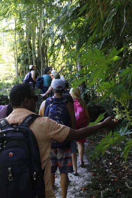 NADI: Nalesutale Village Half Day Tour - Final Thoughts: Is This Tour Worth It?