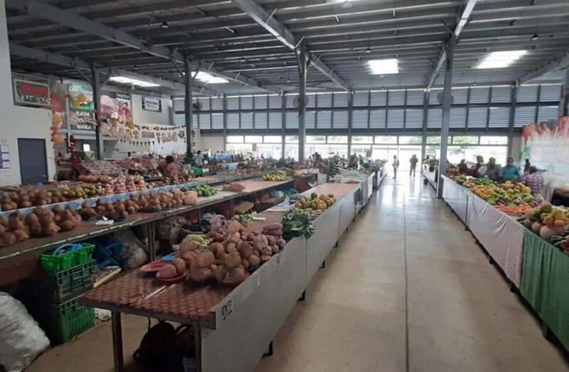 Nadi: Private Tour with Temple, Garden, Markets & Mud Pools - Practical Tips for Travelers