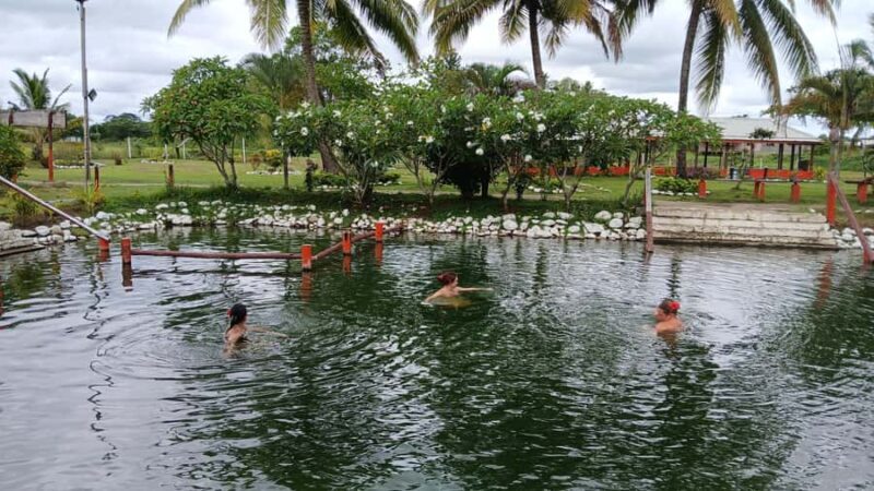 NADI: Sabeto Tifajek Mudpool & Hot Spring Tours & Tickets - What Do Travelers Say?