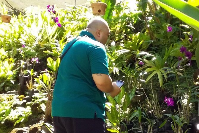 Nadi Sightseeing Including Viseisei Lookout, Village Tour, Garden & Temple Tour - FAQ
