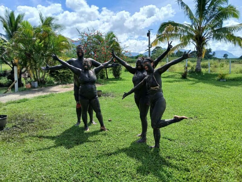 NADI: Tifajek Mud Pool and Hot Spring Natural Spa Tour - What is the Tifajek Mud Pool and Hot Spring Tour?