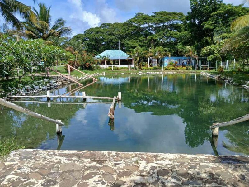 NADI: Tifajek Mud Pool and Hot Spring Natural Spa Tour - The Therapeutic Mud and Hot Springs Experience