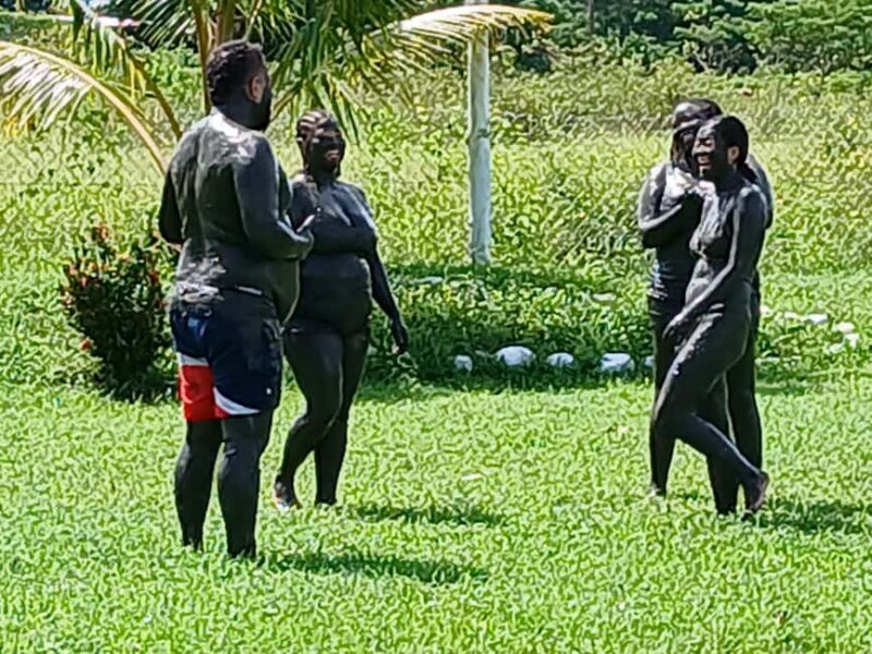 NADI: Tifajek Mud Pool and Hot Spring Natural Spa Tour - Practical Tips for Visitors
