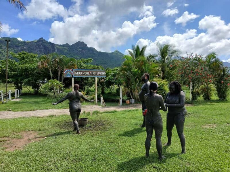 NADI: Tifajek Mud Pool and Hot Spring Natural Spa Tour - Final Thoughts: Who Should Consider This Tour?