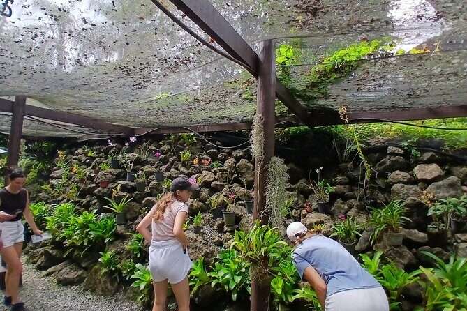 Nadi Tour With Tifajek Mud Pool and Hotspring - Final Thoughts