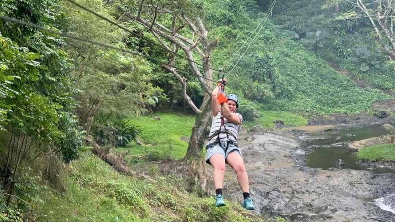 Nadi: Zipline, Waterfalls, and Jungle Safari Tour with Lunch - Overall Impression