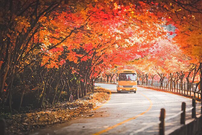 Naejangsan Fall Foliage Tour from Busan with Seoul Drop-off - Key Points