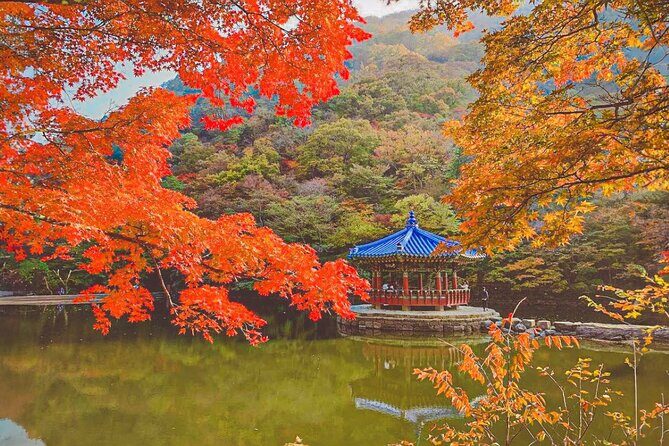 Naejangsan Fall Foliage Tour from Busan with Seoul Drop-off - Final Thoughts