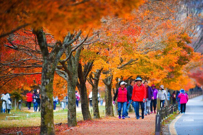Naejangsan National Park Autumn Foliage One Day Tour from Busan - The Itinerary in Detail: What to Expect