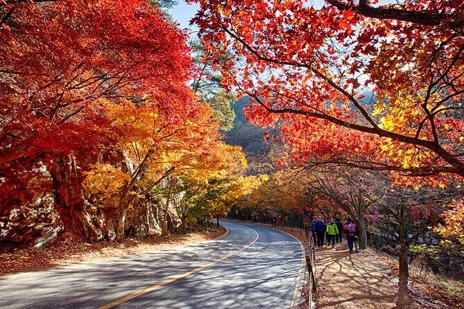 Naejangsan National Park Autumn Foliage One Day Tour from Busan - Who Will Love This Tour?