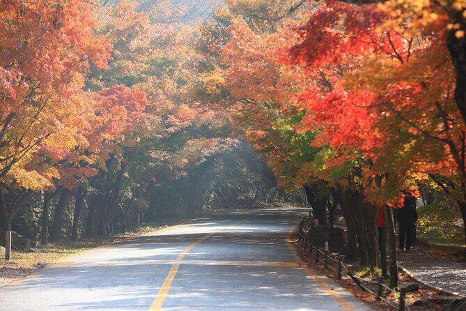 Naejangsan National Park Autumn Foliage One Day Tour from Busan - Final Thoughts