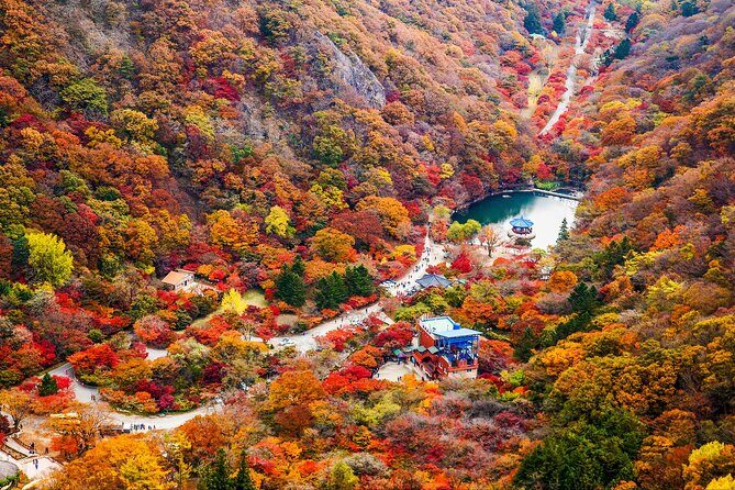 Naejangsan National Park Autumn Foliage One Day Tour from Seoul - Frequently Asked Questions (FAQs)