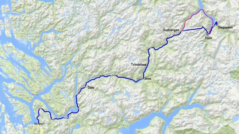 Nærøyfjord Cruise, Flåm, and Stegastein - Bus from Bergen - A Drive to Stegastein: Breathtaking Views