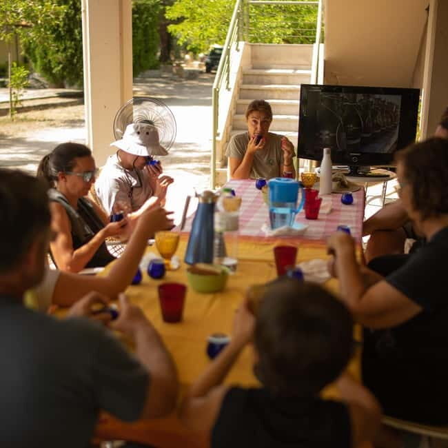 Nafplio: Olive Oil Estate Tour and Tasting - Final Thoughts