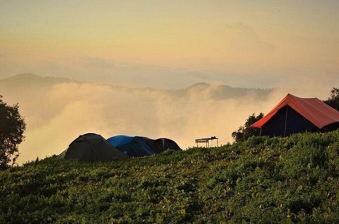 Nag Tibba 2 Days Trek (Pantwari to Pantwari) - Things to Consider