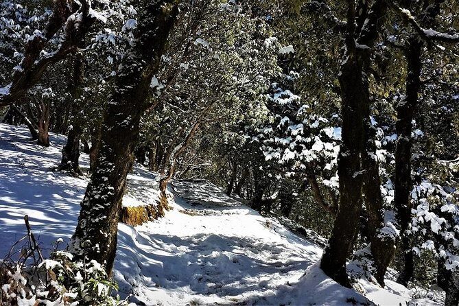 Nag Tibba 2 Days Trek (Pantwari to Pantwari) - Final Thoughts: Is It Worth It?
