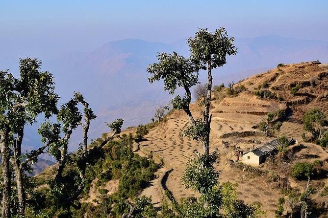 Nag Tibba 2 Days Trek (Pantwari to Pantwari) - Who Should Consider This Trek?