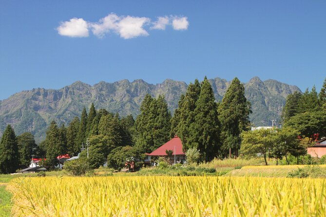 nagano-all-must-sees-4hr-private-tour-with-licensed-guide